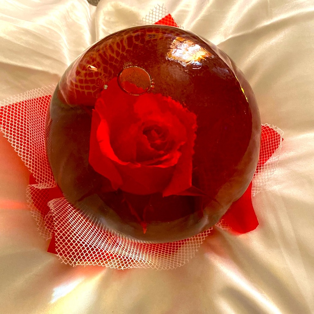 Globe 🌹